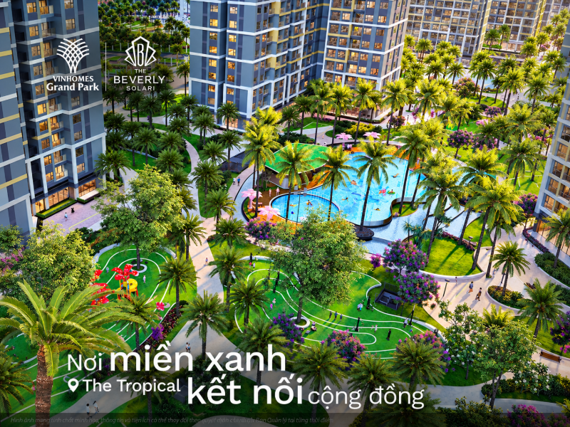Chuyển Nhượng The Tropical